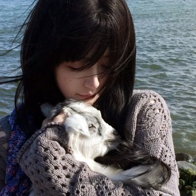 风流舰队